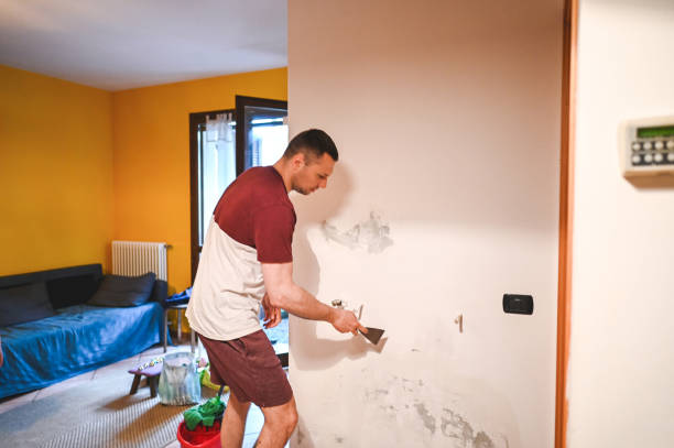 Professional Mold Removal in Pensacola Station, FL