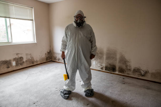 Best Office Mold Removal Services  in Pensacola Station, FL
